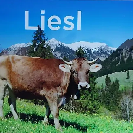 Muller's Landhaus شقة